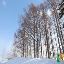 Tranh dán tường Hàn Quốc 3d khổ lớn ở Hà Nội NA - 445